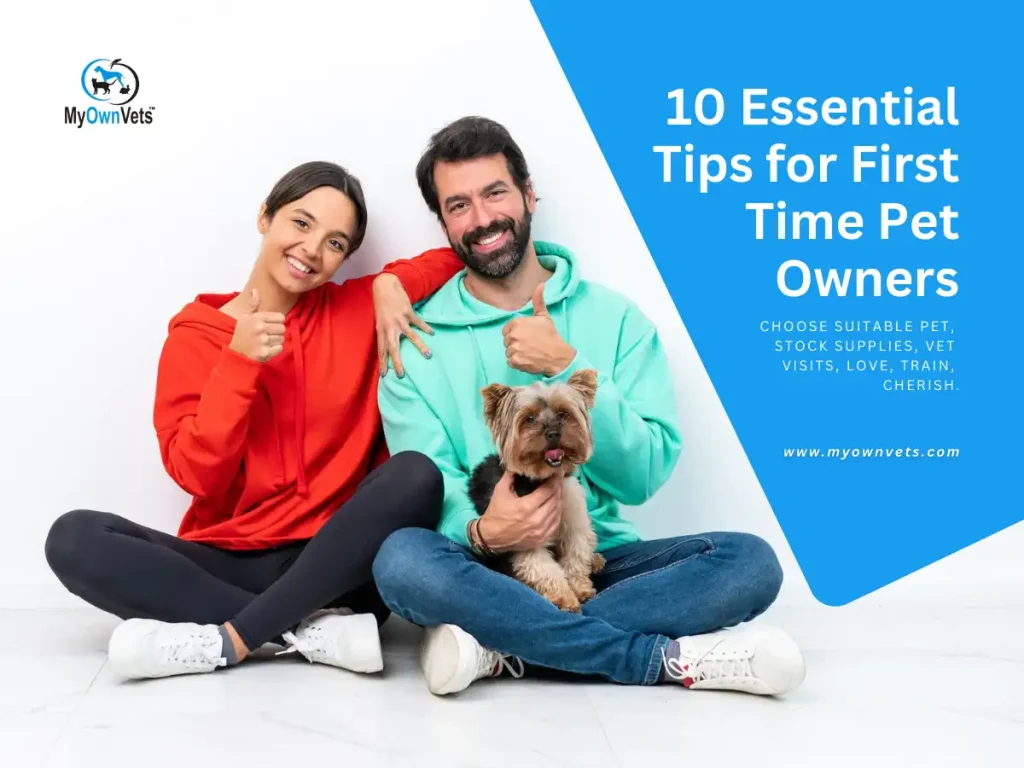 10 Essential Tips for First Time Pet Owners