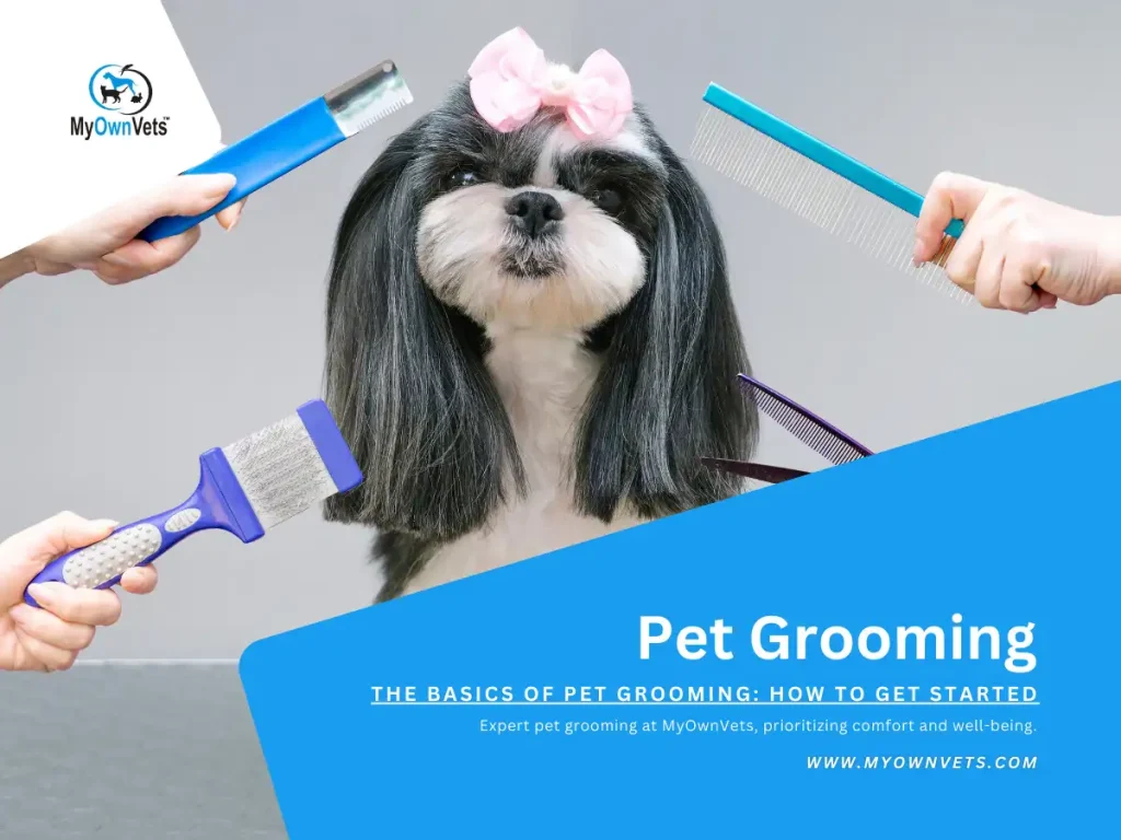 The Basics of Pet Grooming How to Get Started