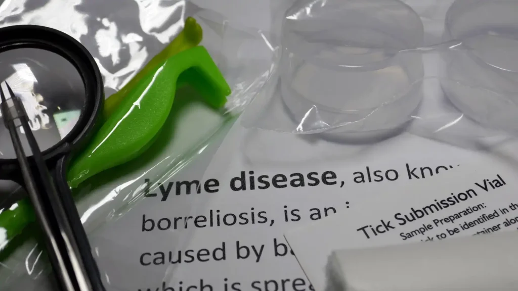 Flea and Tick Season Safeguarding Them from Lyme Disease