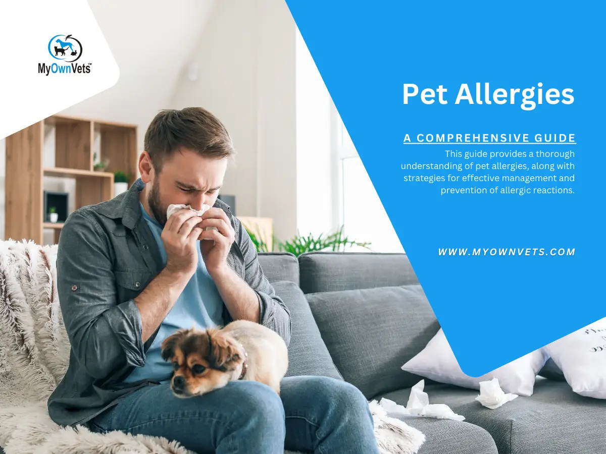 Pet Allergies A Comprehensive Guide